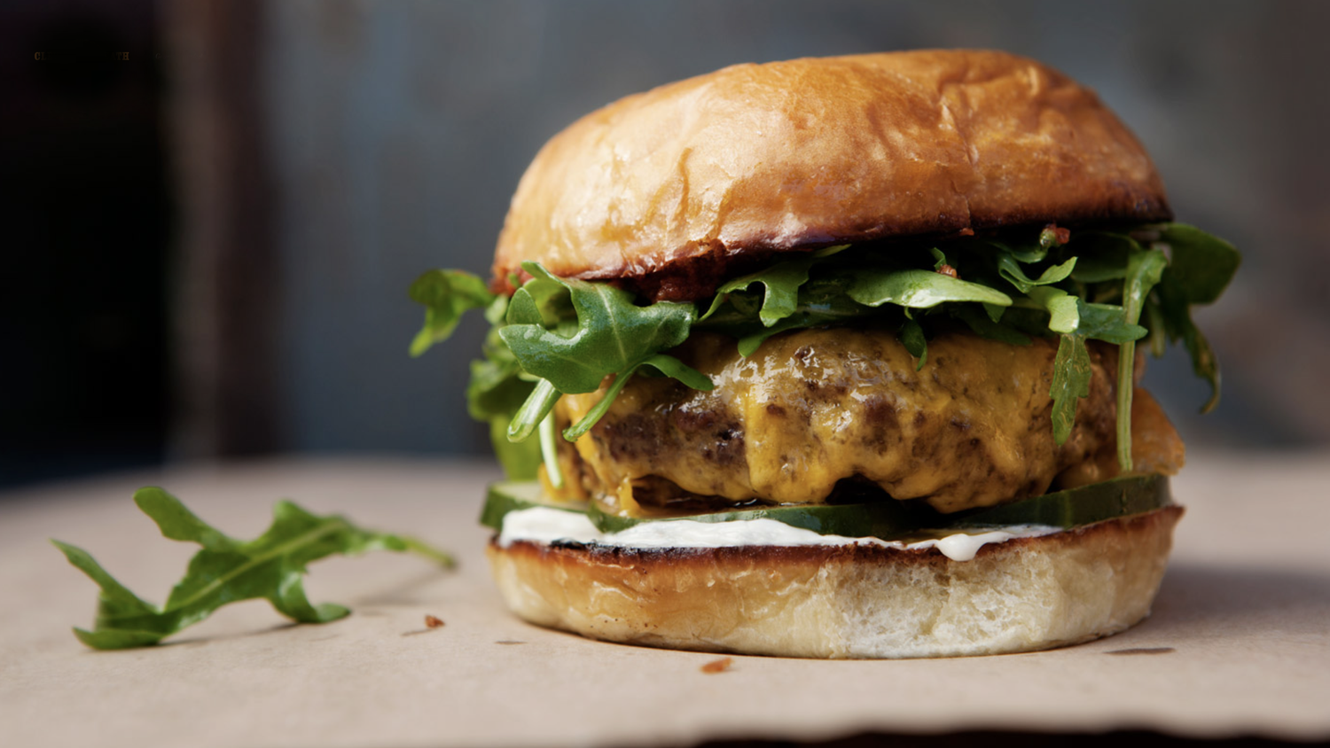 Pulled pork sandwich